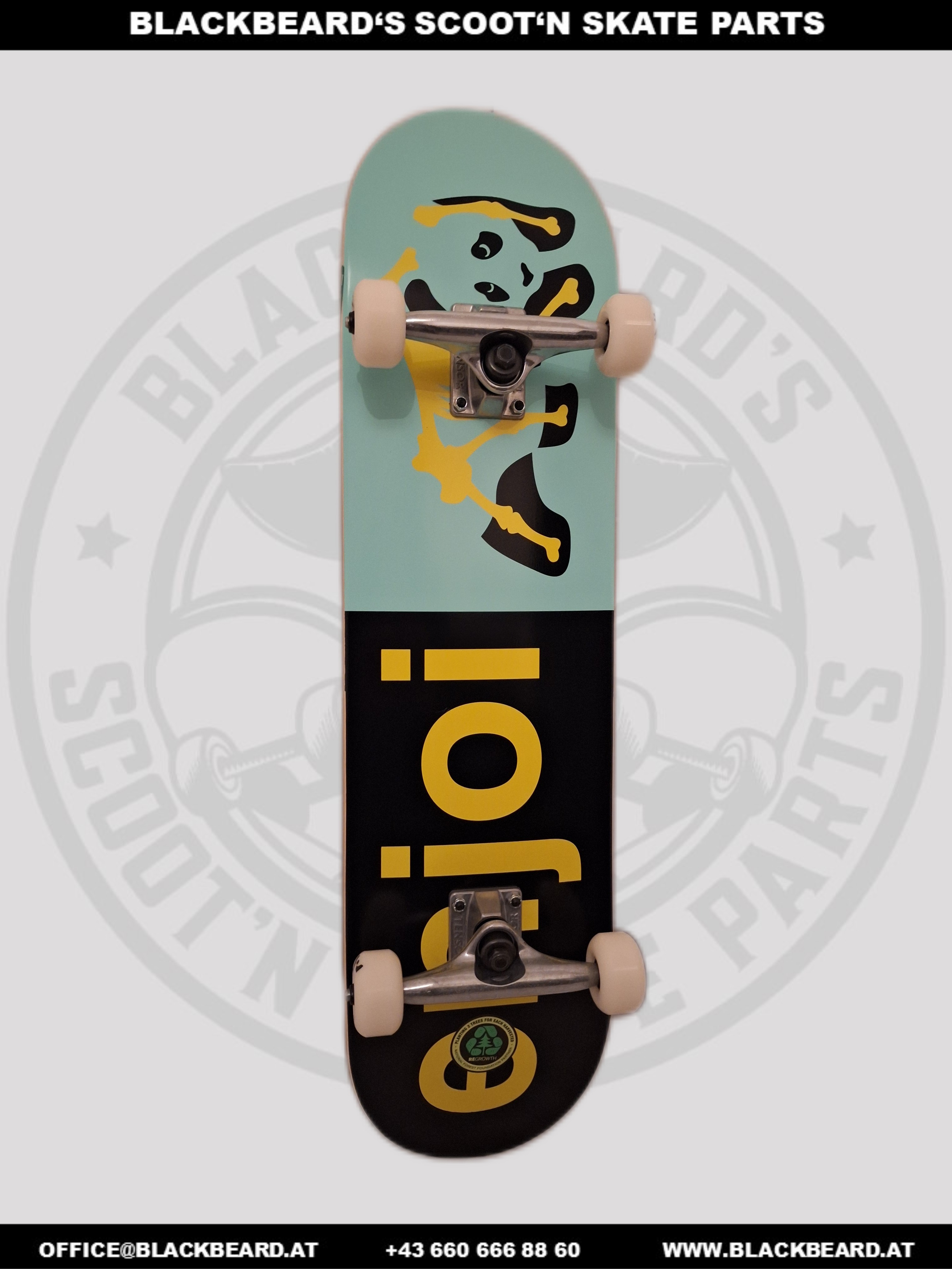 Skateboard komplett, Enjoi Xray Panda, 8,00x31,875