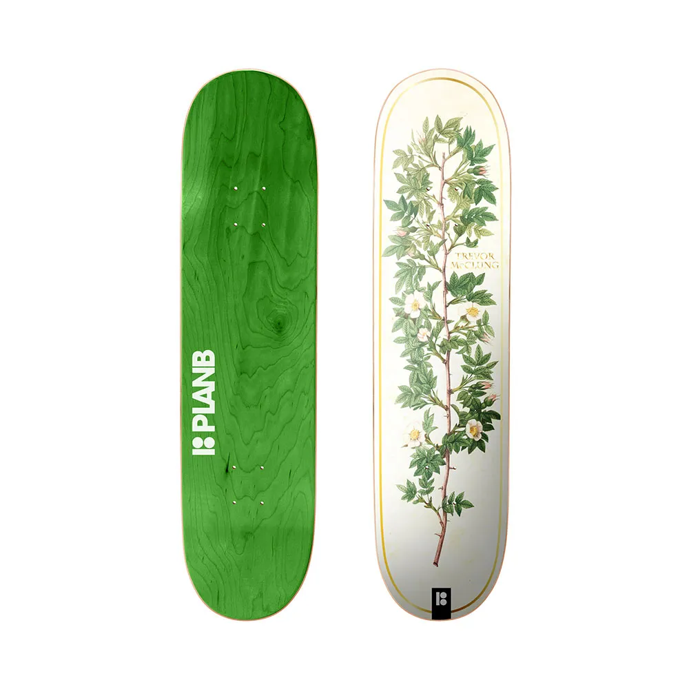 Deck, Plan B, Bloom Mcclung 8.0"x31.33"