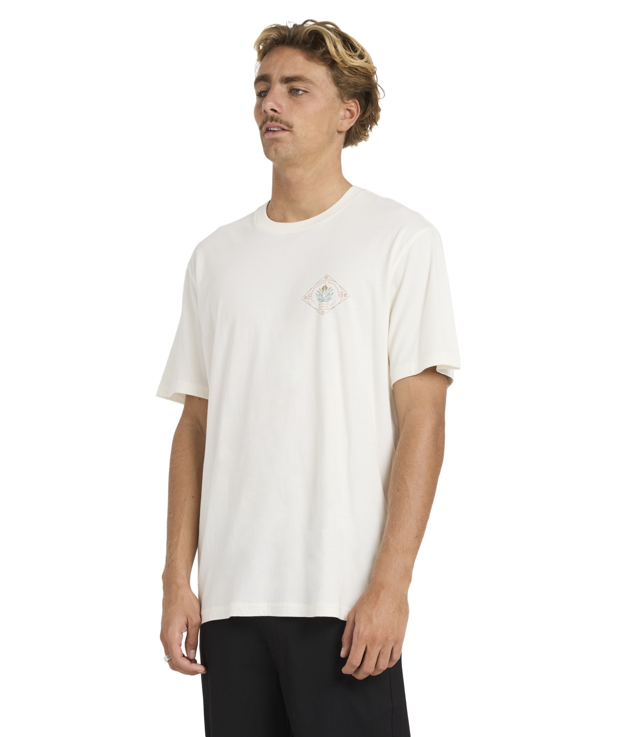 T-Shirt kurzarm Billabong Agave A/DIV