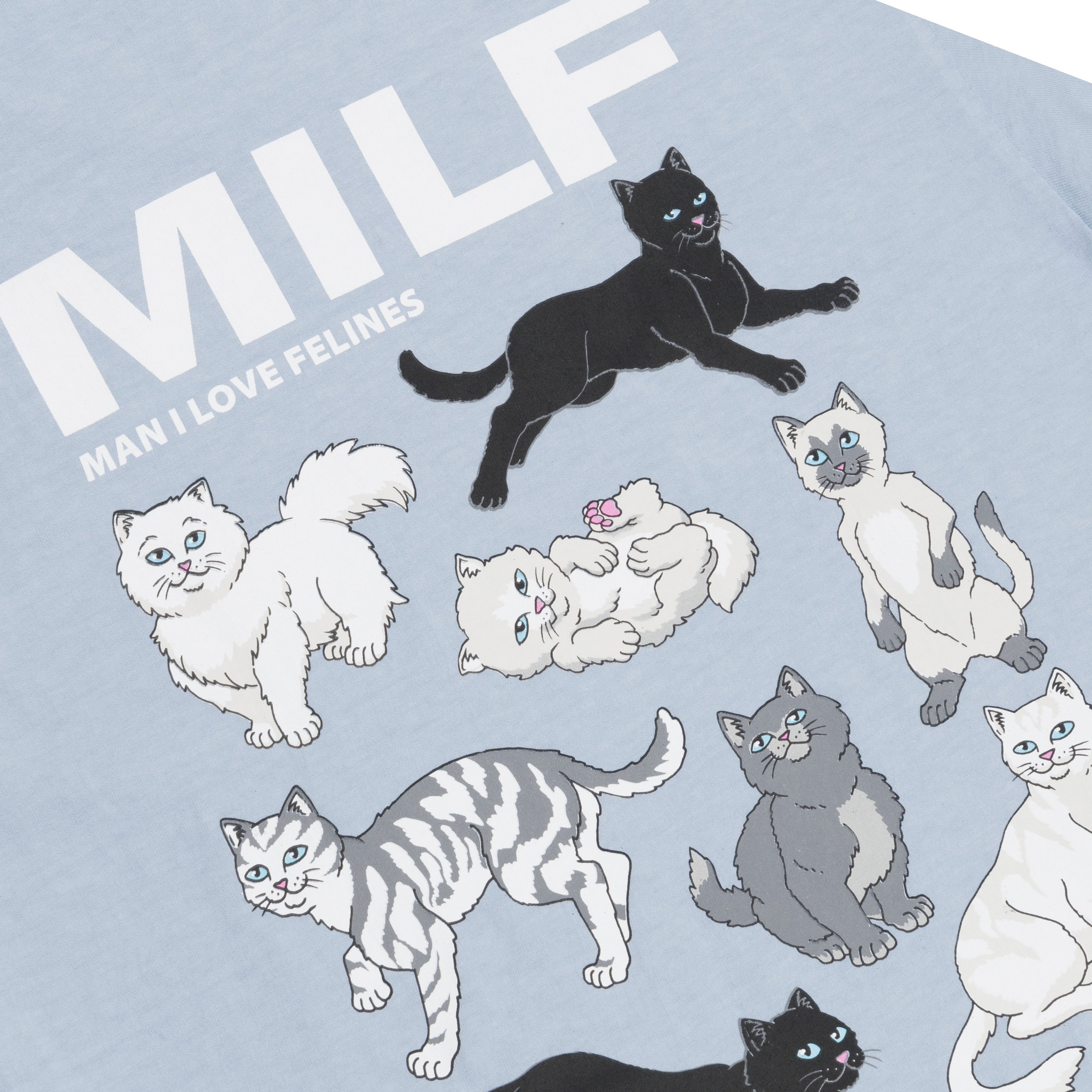T-Shirt kurzarm, RipnDip, Man i love Felines