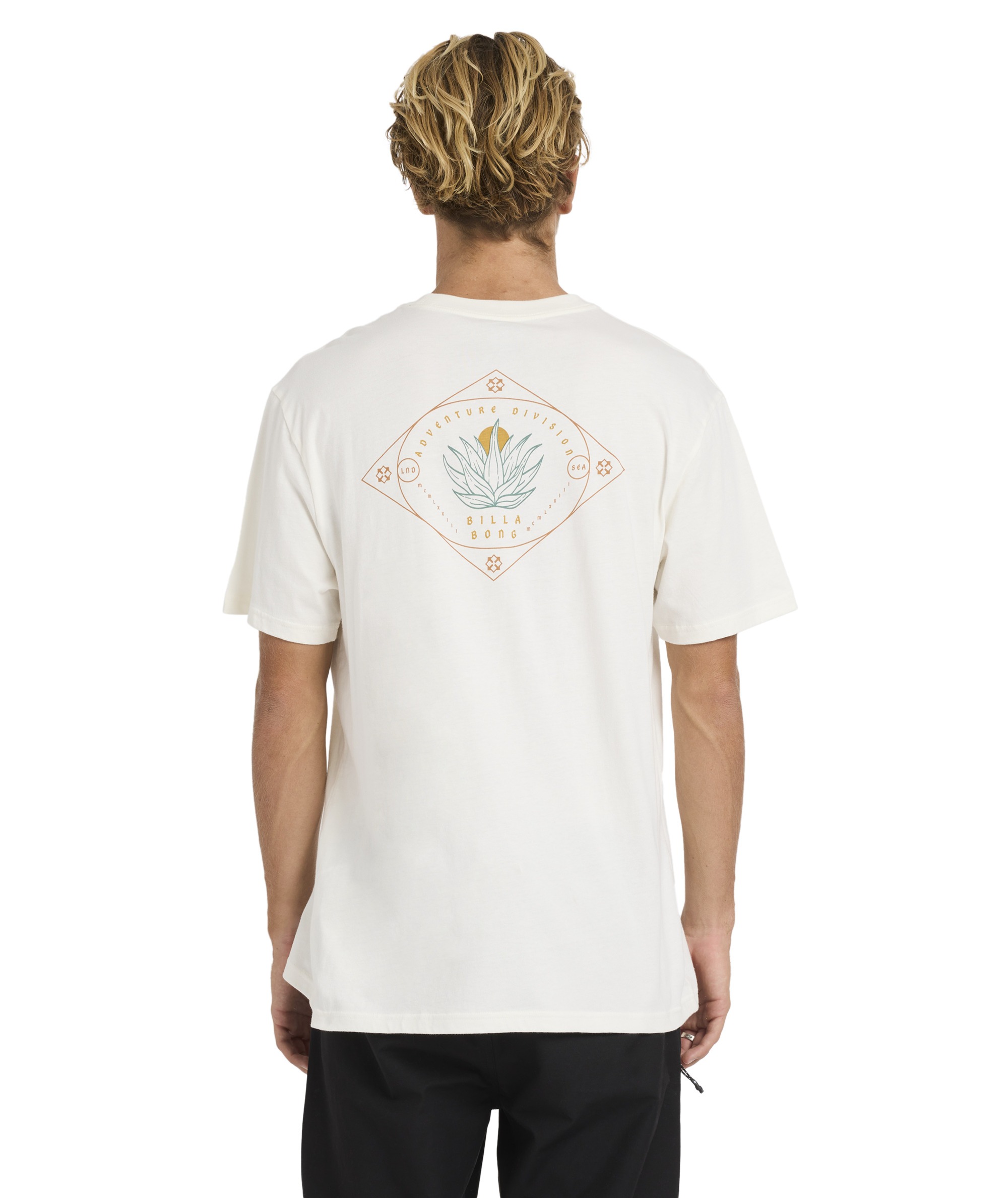 T-Shirt kurzarm Billabong Agave A/DIV