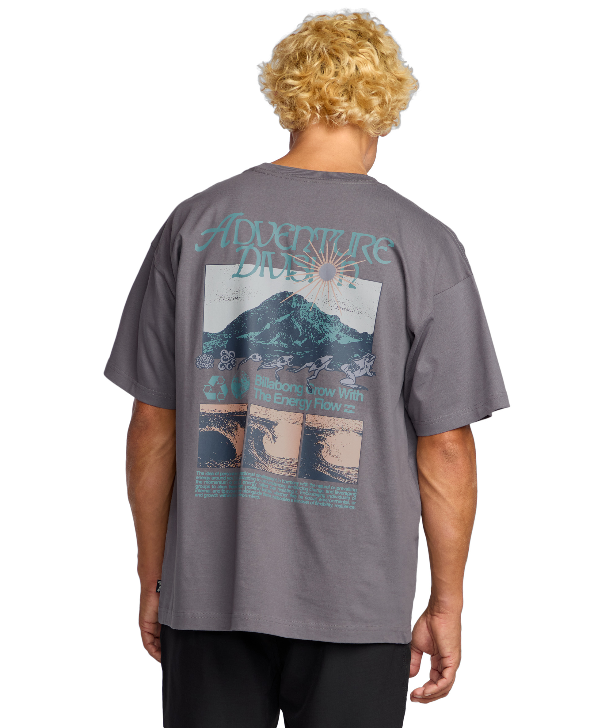 T-Shirt kurzarm, Billabong, Grow Og A/Div T-Shirt kurzarm, Billabong, Grow Og A/Div