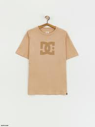 T-Shirt kurzarm, DC, Star Pigment