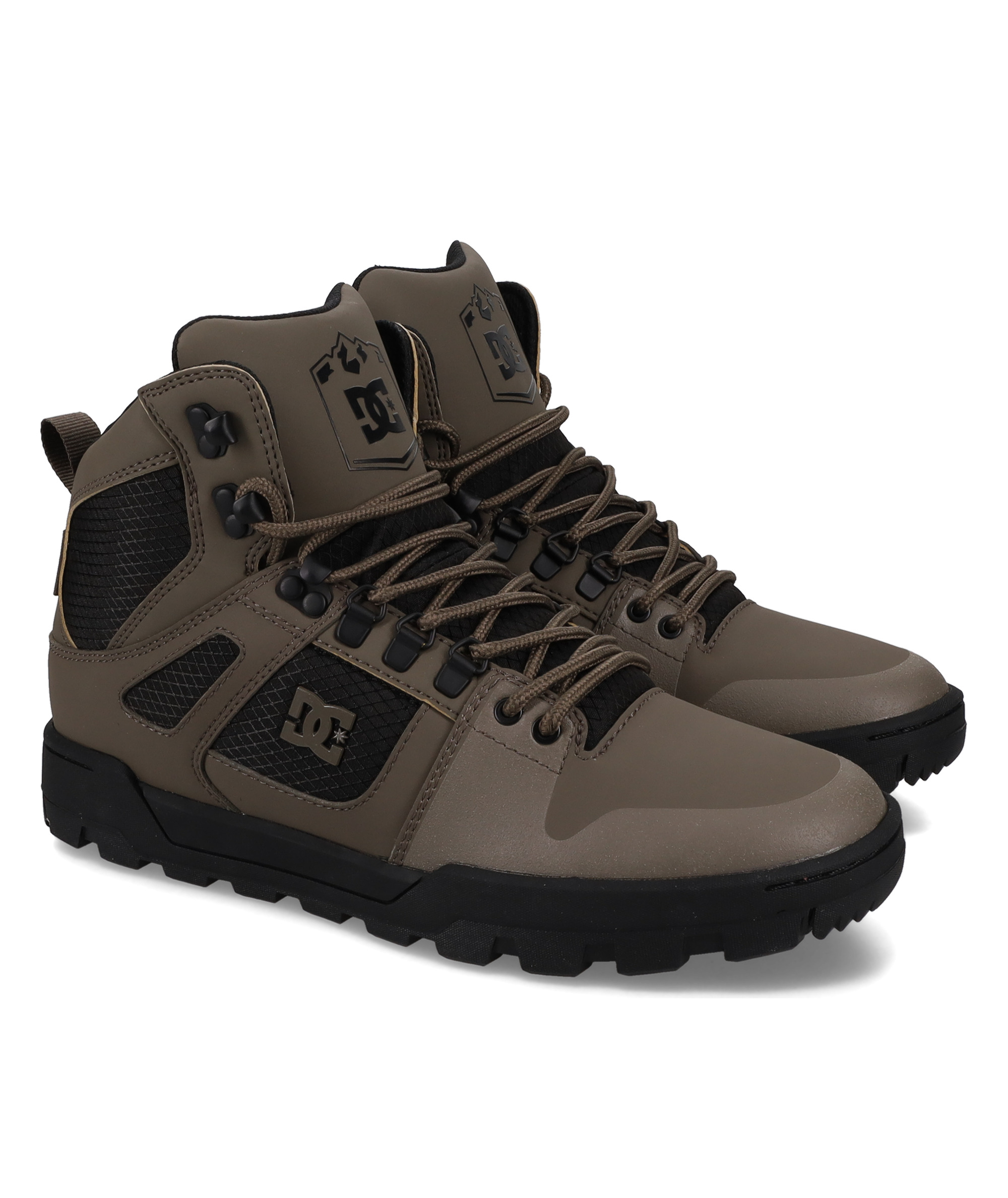 Sneaker DC Pure High-Top Boot