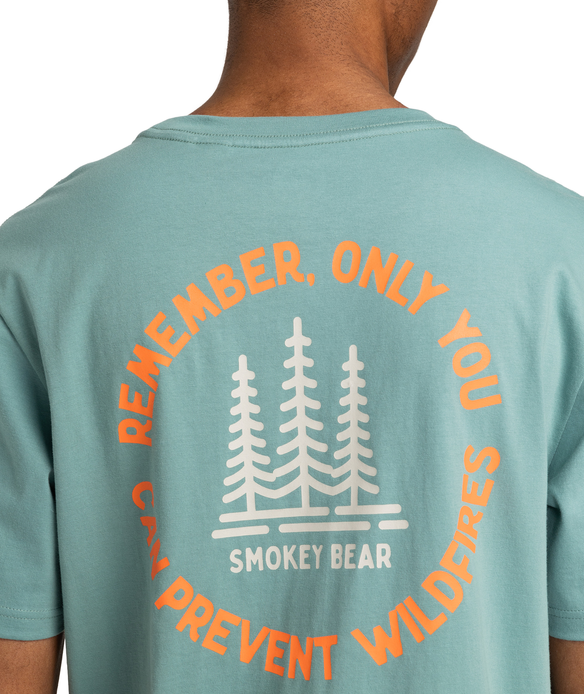T-Shirt kurzarm, Element, Smokey Bear X Remember