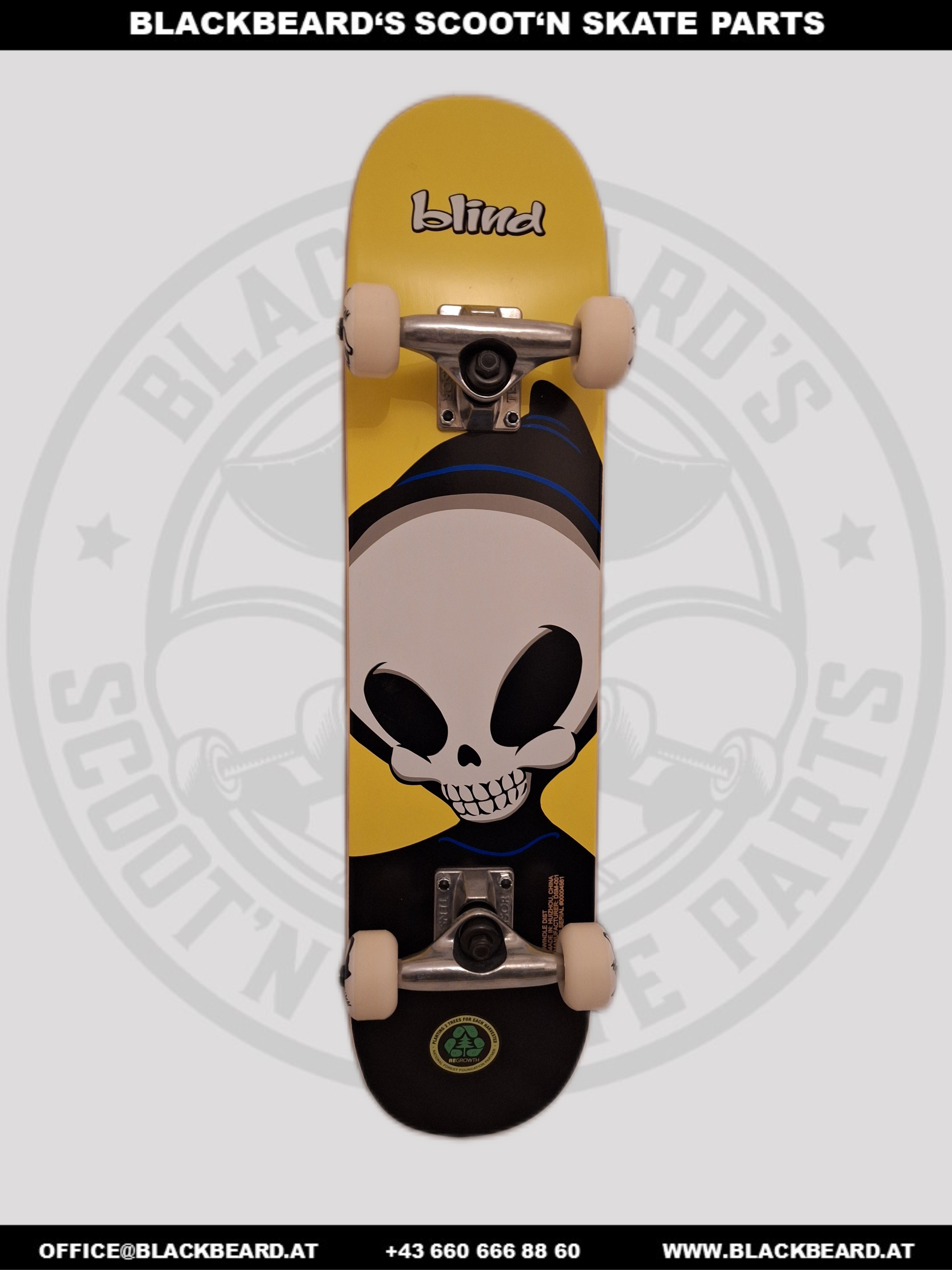 Skateboard komplett, Blind Big Head, 6,75x28,20